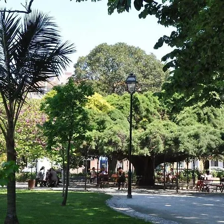 Apartment Mc Warm Romantic 3br2ba @ Trendy Principe Real