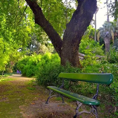 Mc Warm Romantic 3br2ba @ Trendy Principe Real Apartment Lisbon
